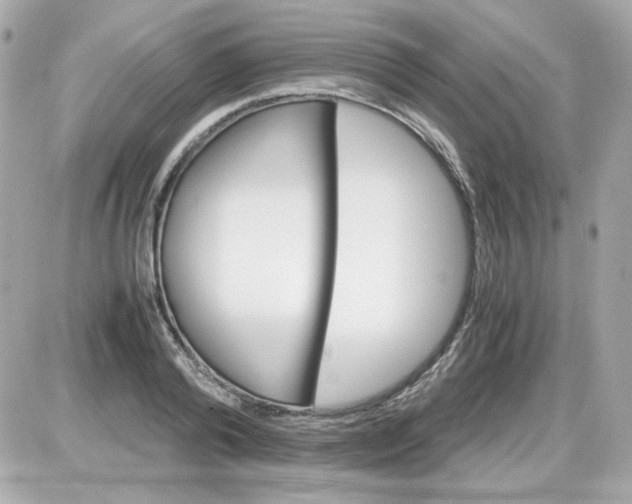 X0000087520792200705112005