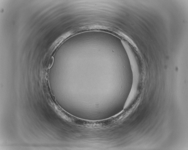 X0000087520793200705112005