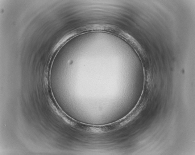 X0000087520794200705112005