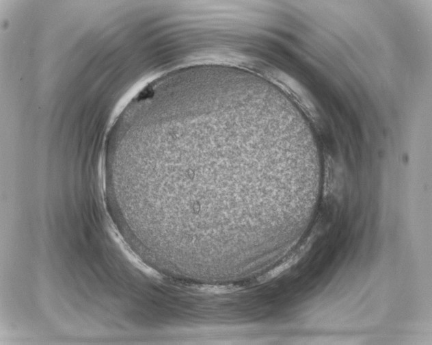 X0000087520796200705112005