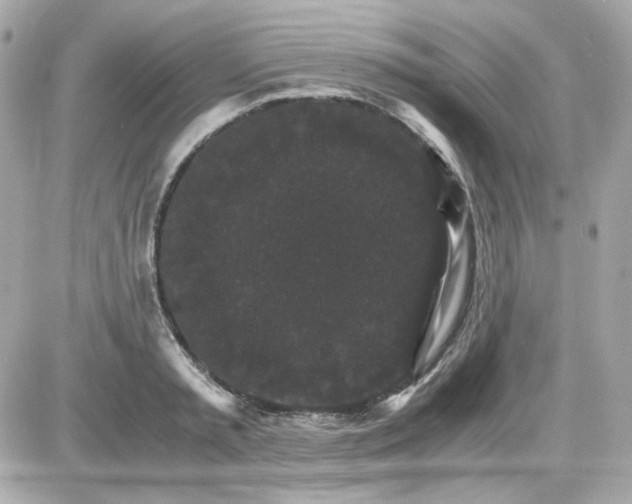 X0000087520797200705112005