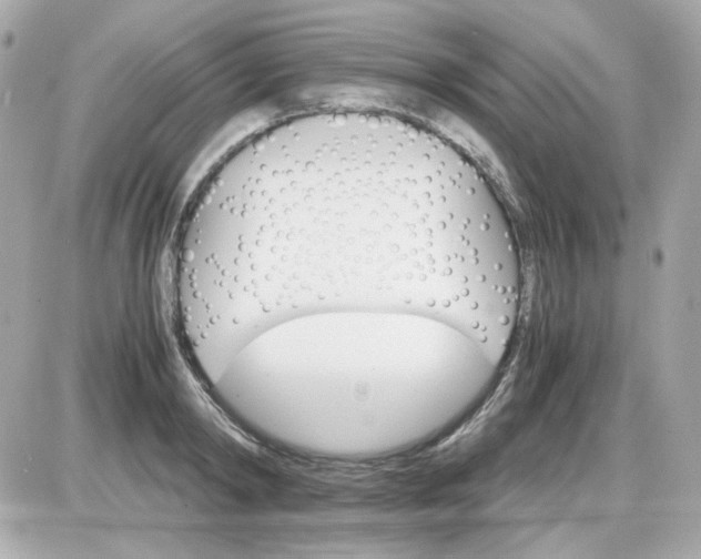 X0000087520798200705112005