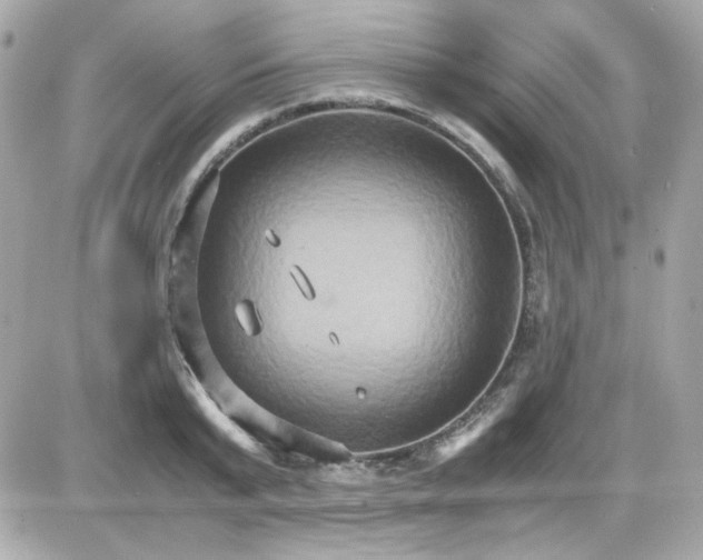 X0000087520799200705112005