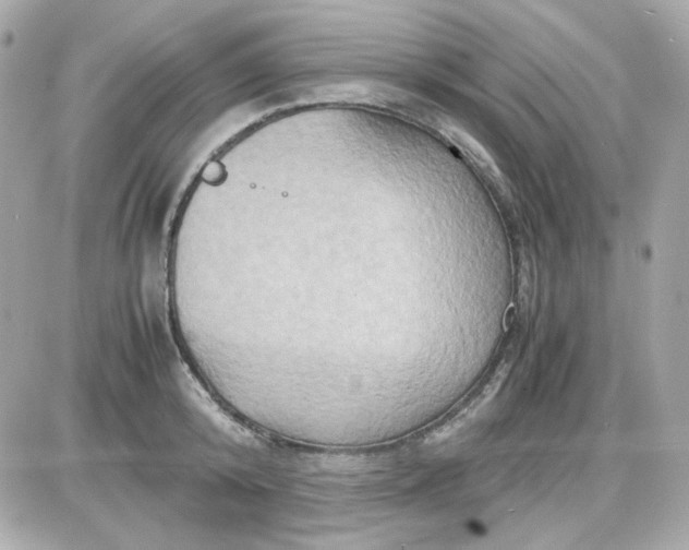 X0000087520800200705112005