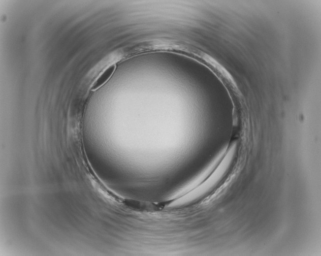 X0000087520801200705112005