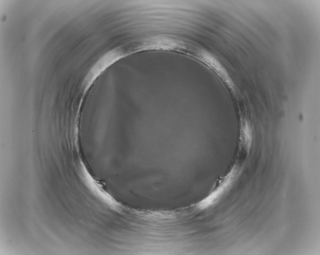 X0000087520802200705112005