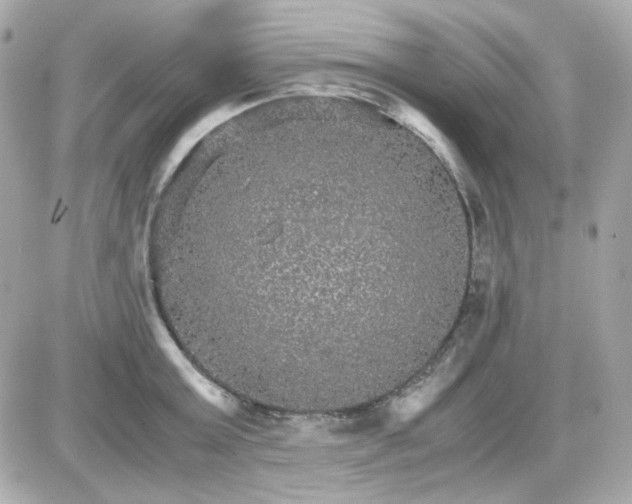 X0000087520803200705112005