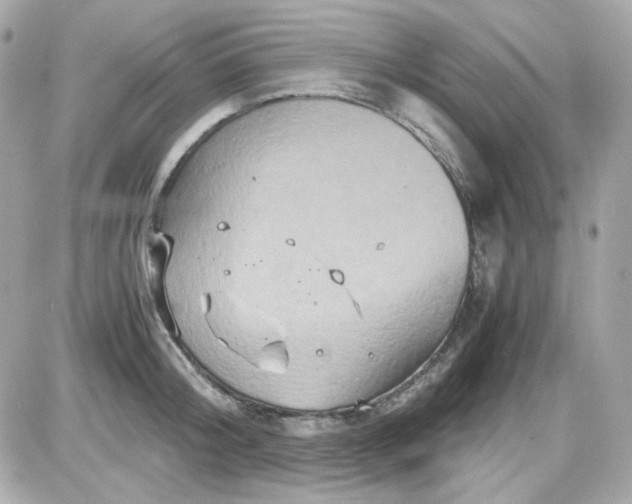 X0000087520804200705112005