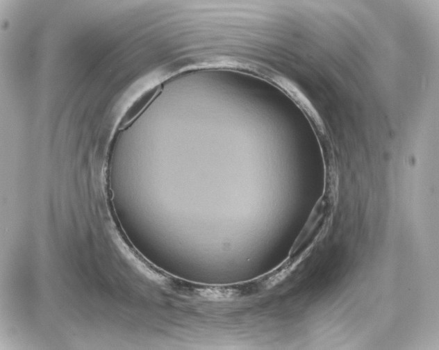 X0000087520805200705112005