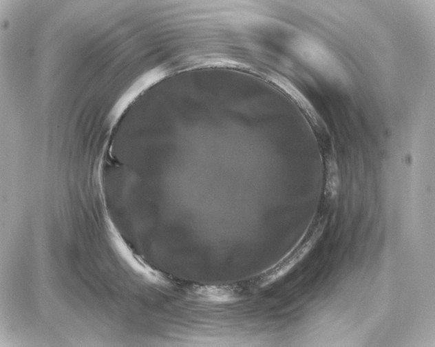 X0000087520806200705112005