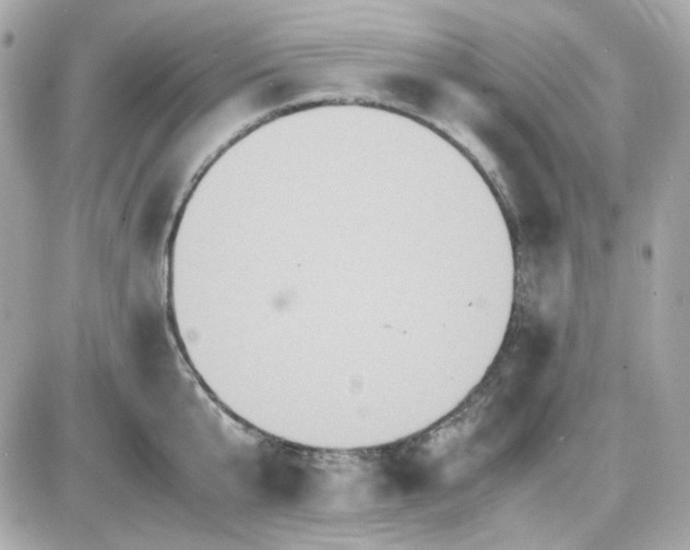 X0000087520807200705112005