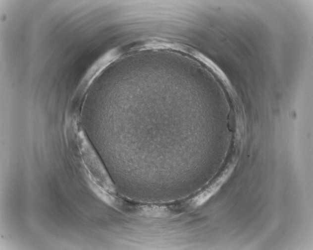 X0000087520809200705112005