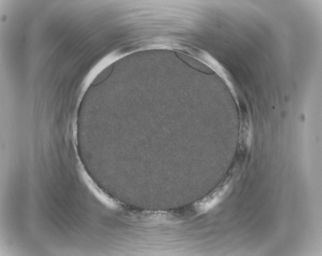 X0000087520811200705112005