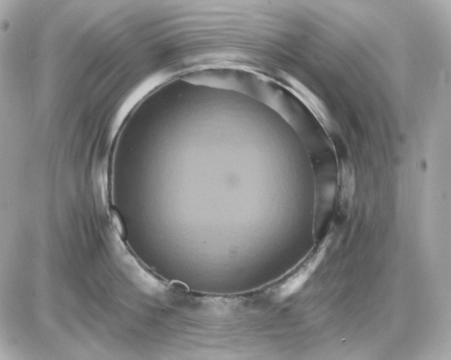 X0000087520812200705112005