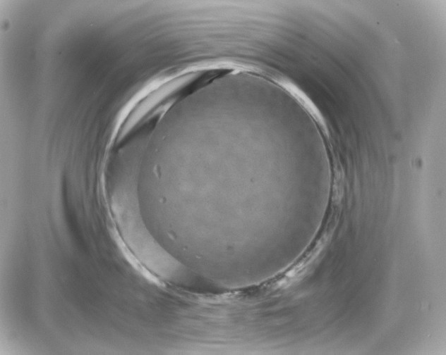 X0000087520813200705112005