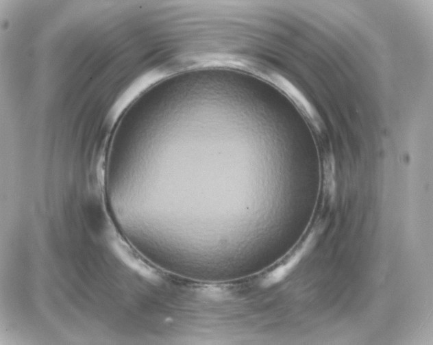 X0000087520814200705112005