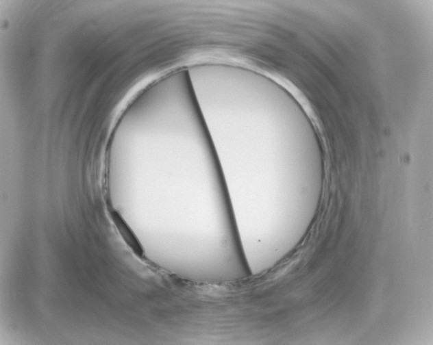 X0000087520815200705112005