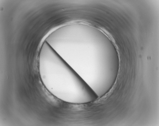 X0000087520816200705112005