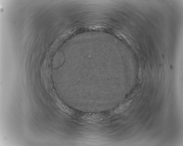 X0000087520817200705112004