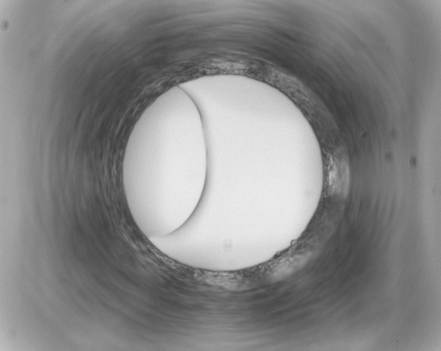 X0000087520819200705112004