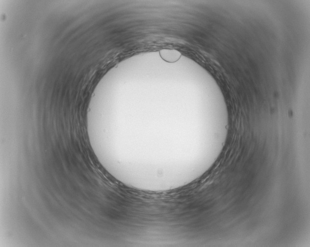 X0000087520820200705112004