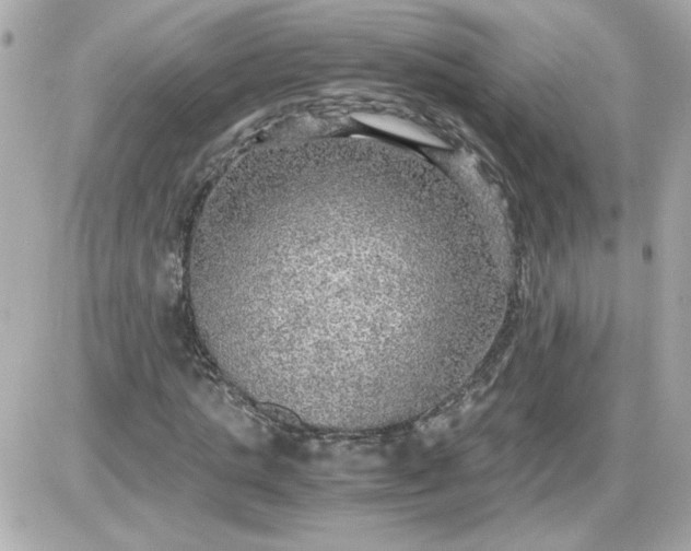 X0000087520821200705112004