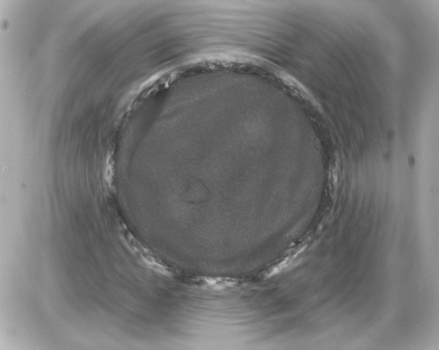 X0000087520822200705112004