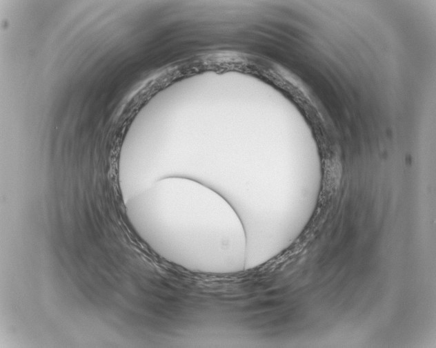 X0000087520823200705112004