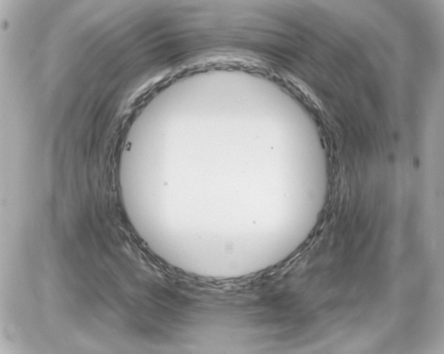 X0000087520824200705112004