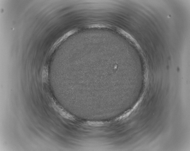 X0000087520825200705112004