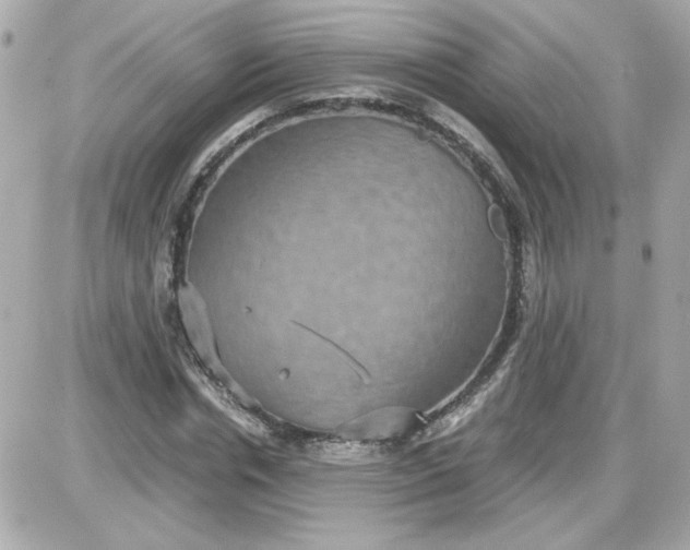 X0000087520826200705112004