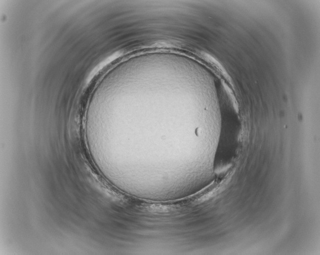 X0000087520827200705112004