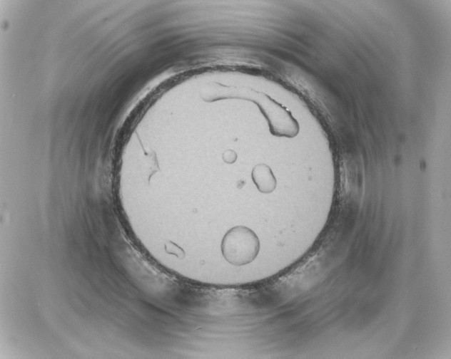 X0000087520828200705112004