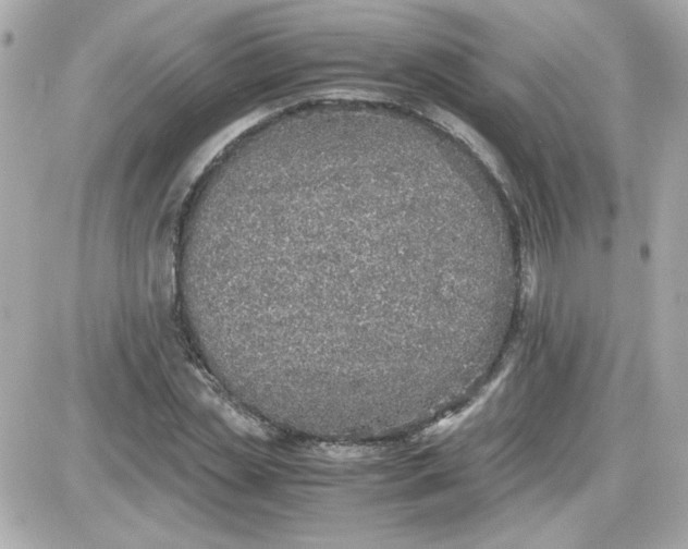 X0000087520829200705112004