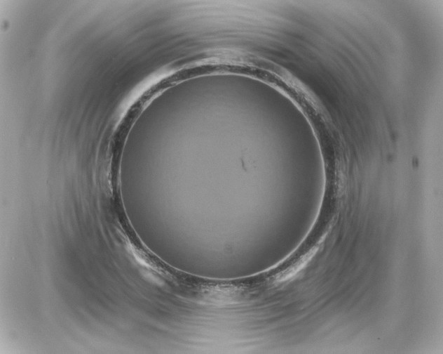 X0000087520830200705112004