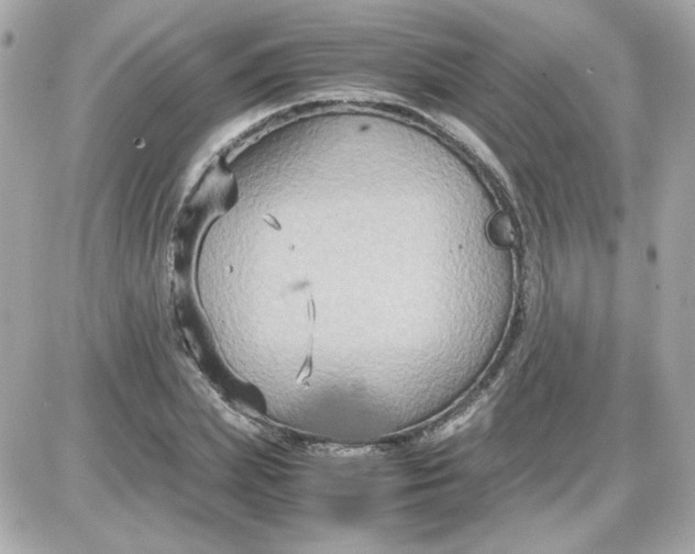 X0000087520831200705112004