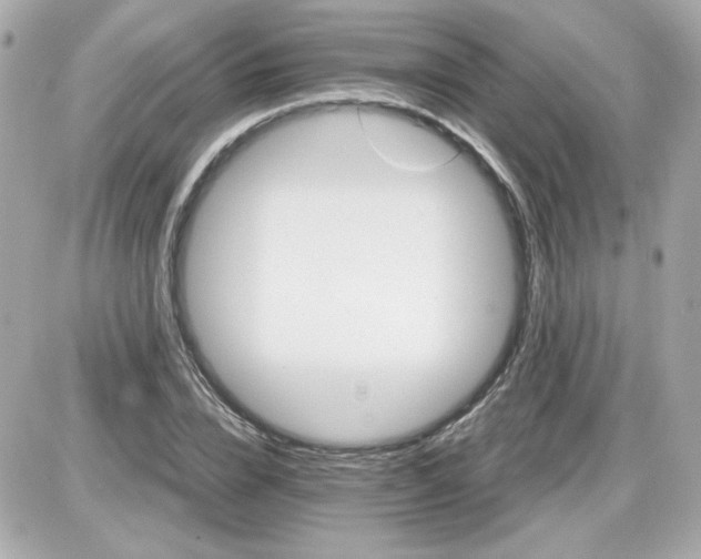 X0000087520832200705112004