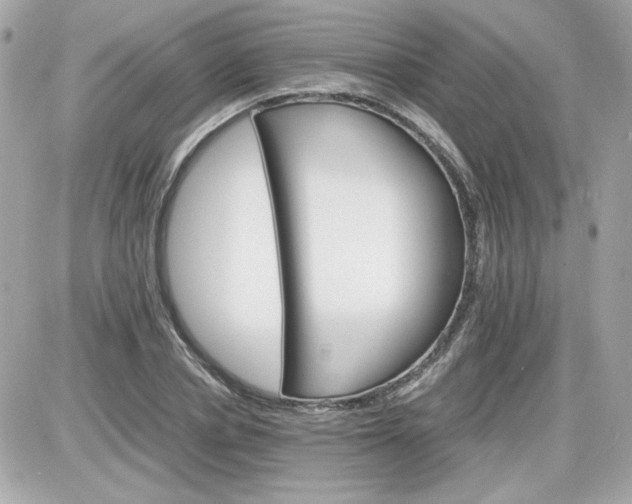 X0000087520834200705112004