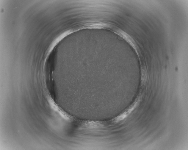 X0000087520835200705112004