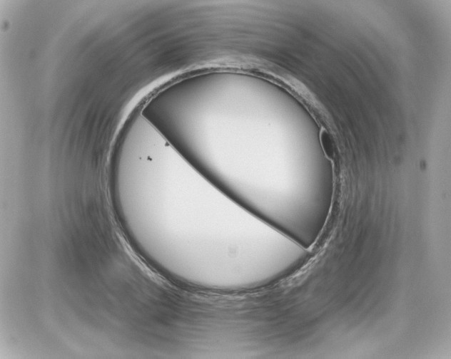 X0000087520838200705112004