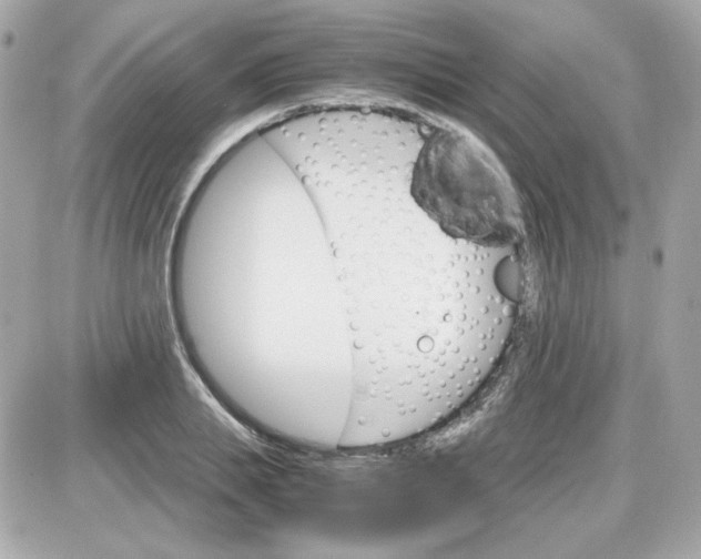 X0000087520839200705112004