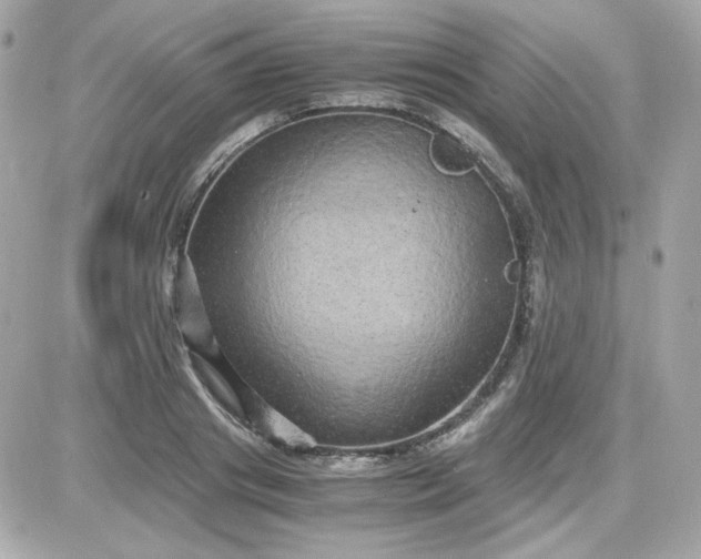 X0000087520841200705112004