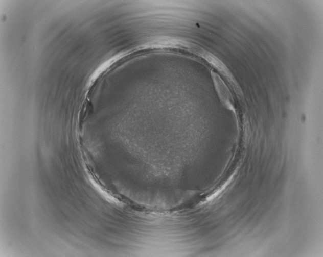 X0000087520842200705112004