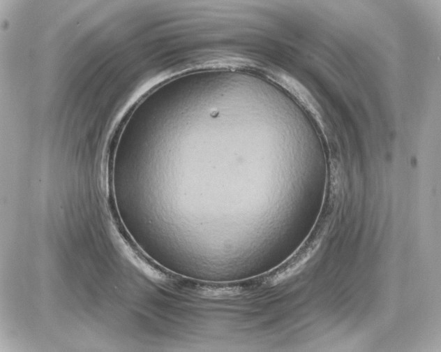 X0000087520843200705112004