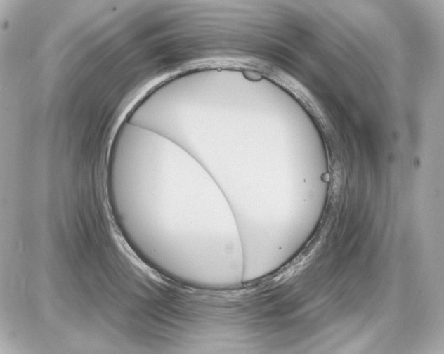 X0000087520844200705112004