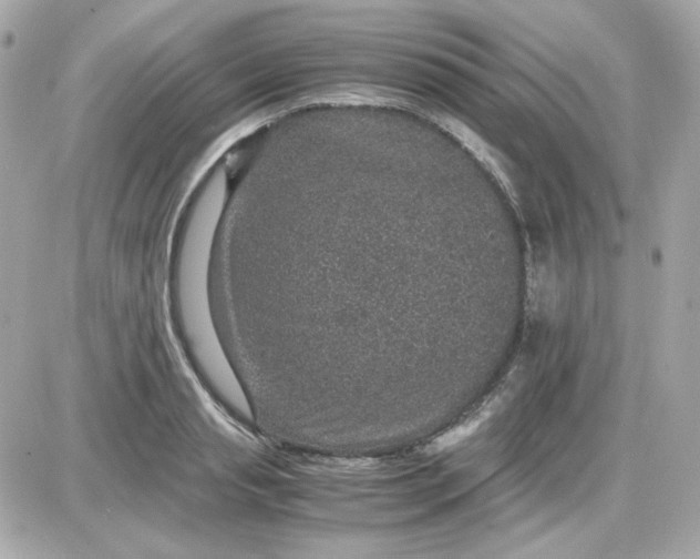 X0000087520845200705112004