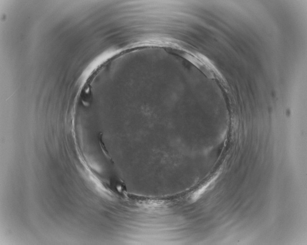 X0000087520846200705112004