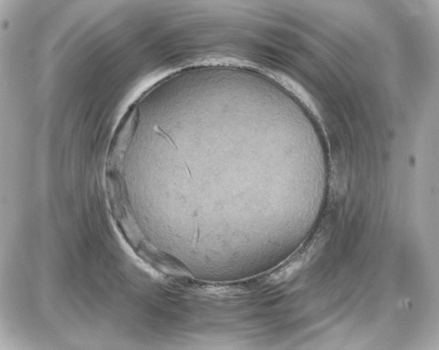 X0000087520847200705112004