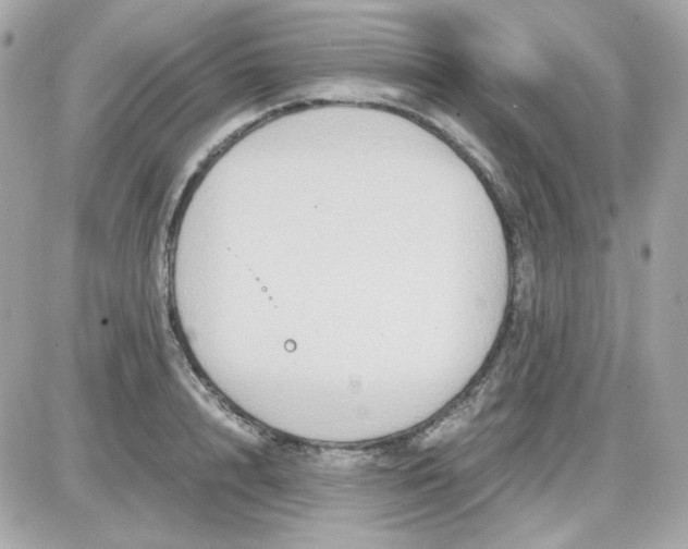 X0000087520848200705112004