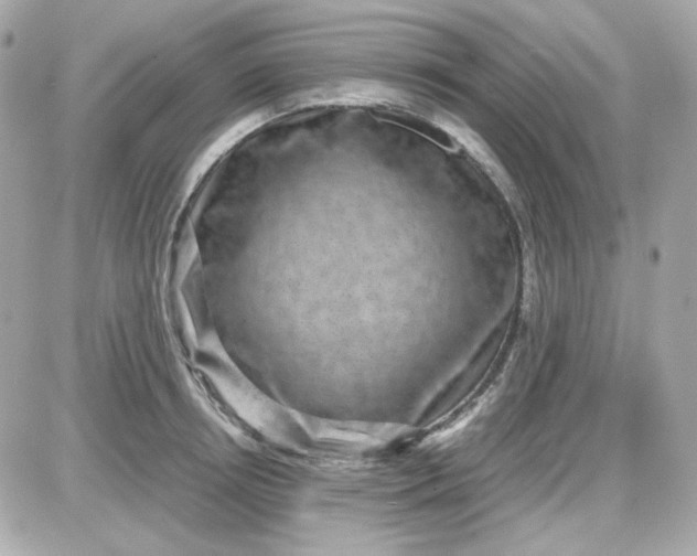 X0000087520850200705112004